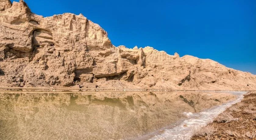 Oasis Negev