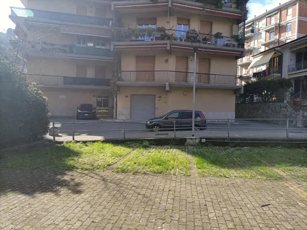 Mansard apart Alba - Sea 5 Terre-trekking-excursions-relax