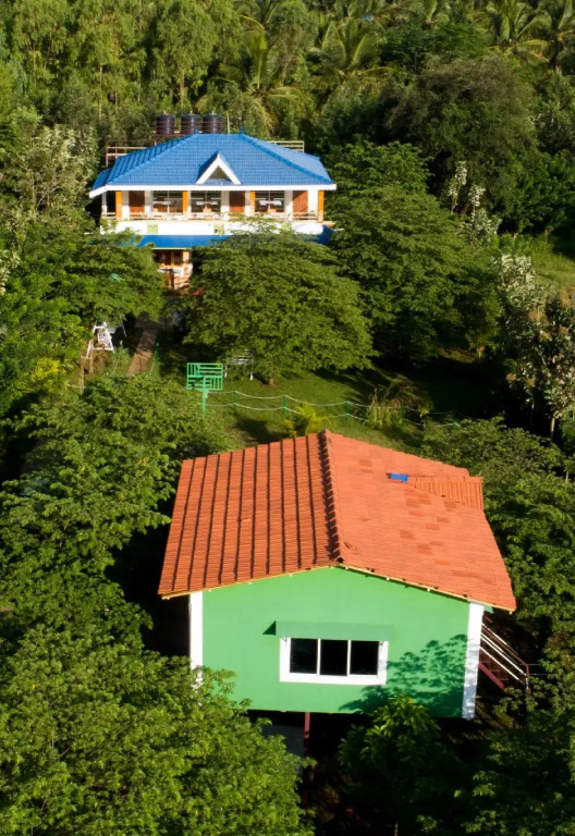 The Midway Jungle Resort