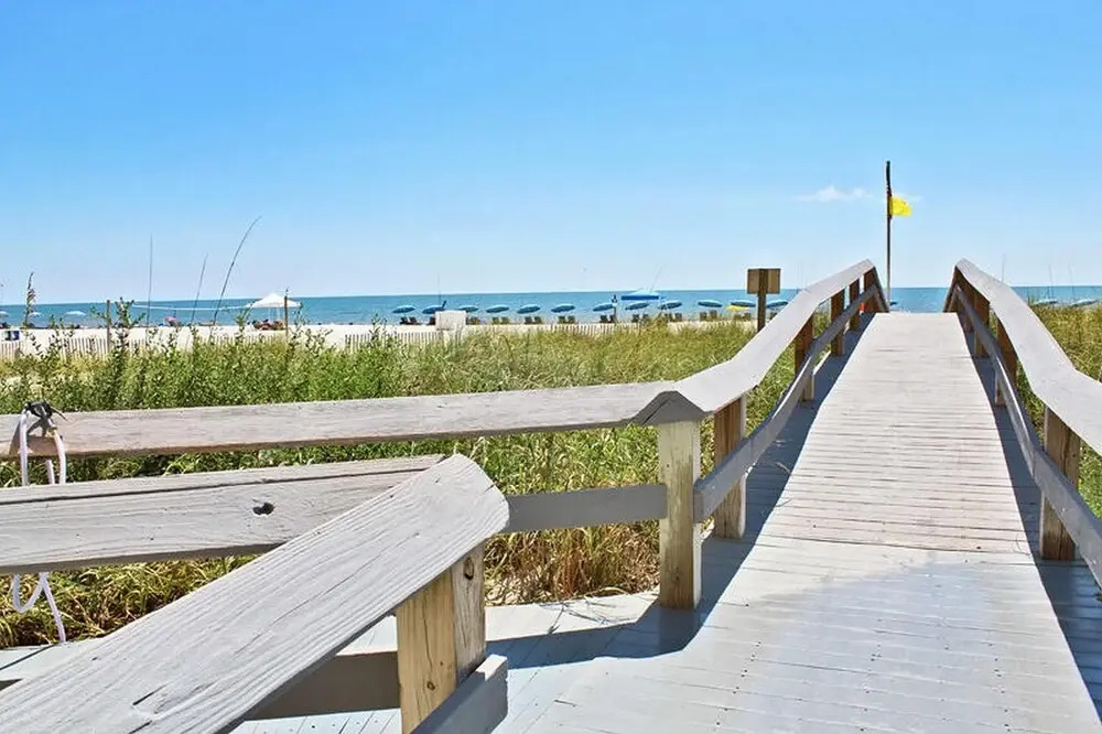 San Carlos 409 by Youngs Suncoast
