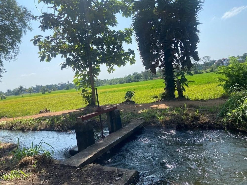 Gimanhala Thisawewa