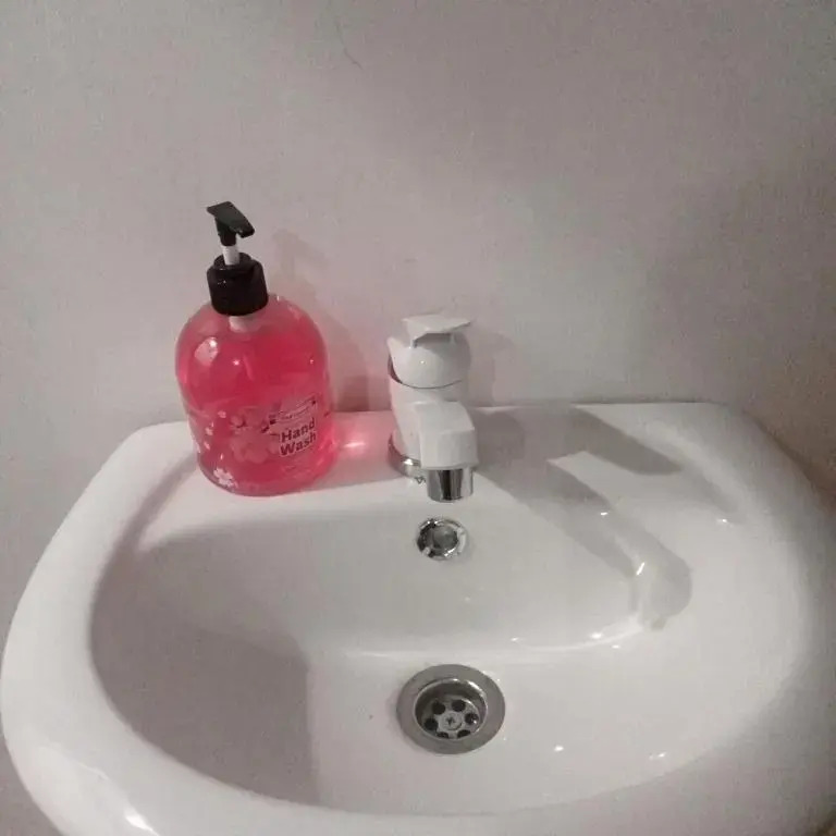 Pink swing homestay