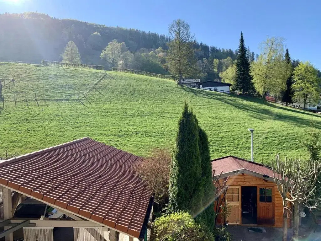 Sonnenhof - Ferienwohnung