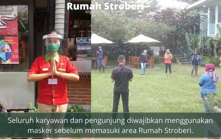 Rumah Stroberi Organic Farm & Family Lodge