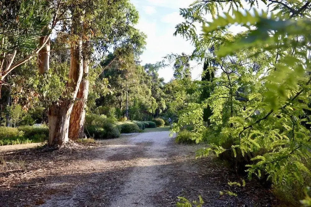 Naturescape