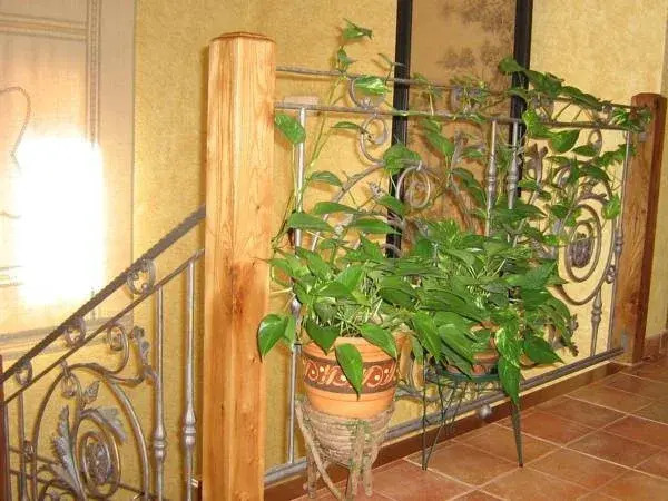 Hotel Rural El Museo