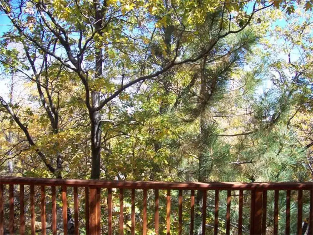 Wolf Road Retreat