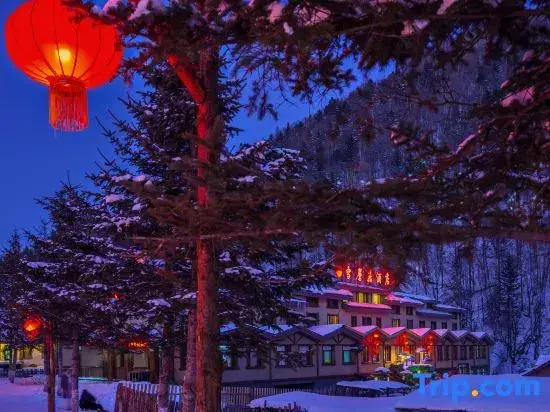 Snow Mushroom Hotel