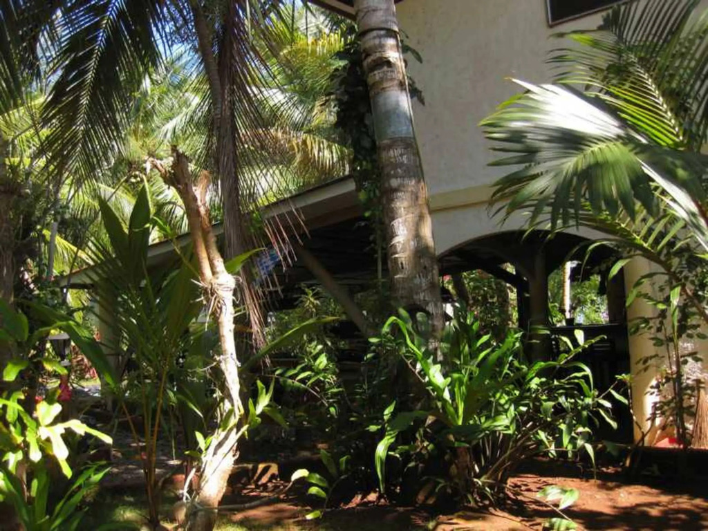 Calypso Resort