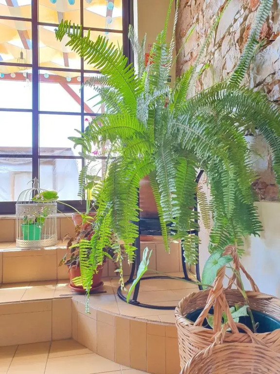 Sunlight House