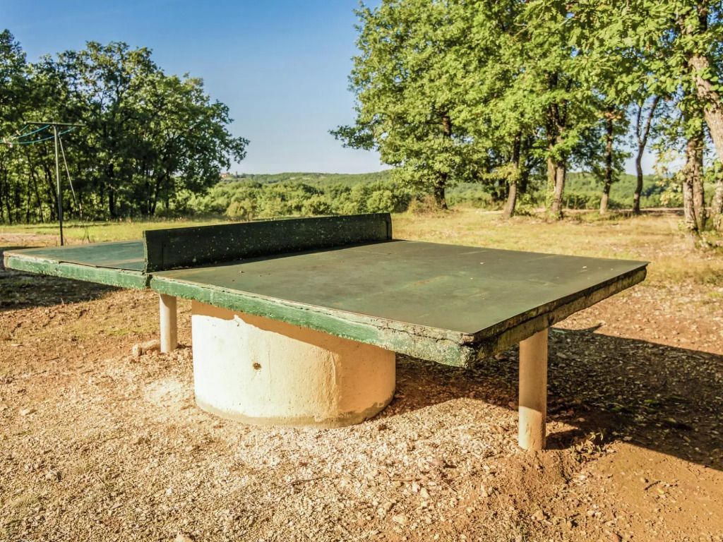 Modern Holiday Home in Salignac-Eyvigues with Swimming Pool