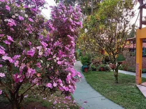Recanto das Flores Lofts - Ilha Grande Rj