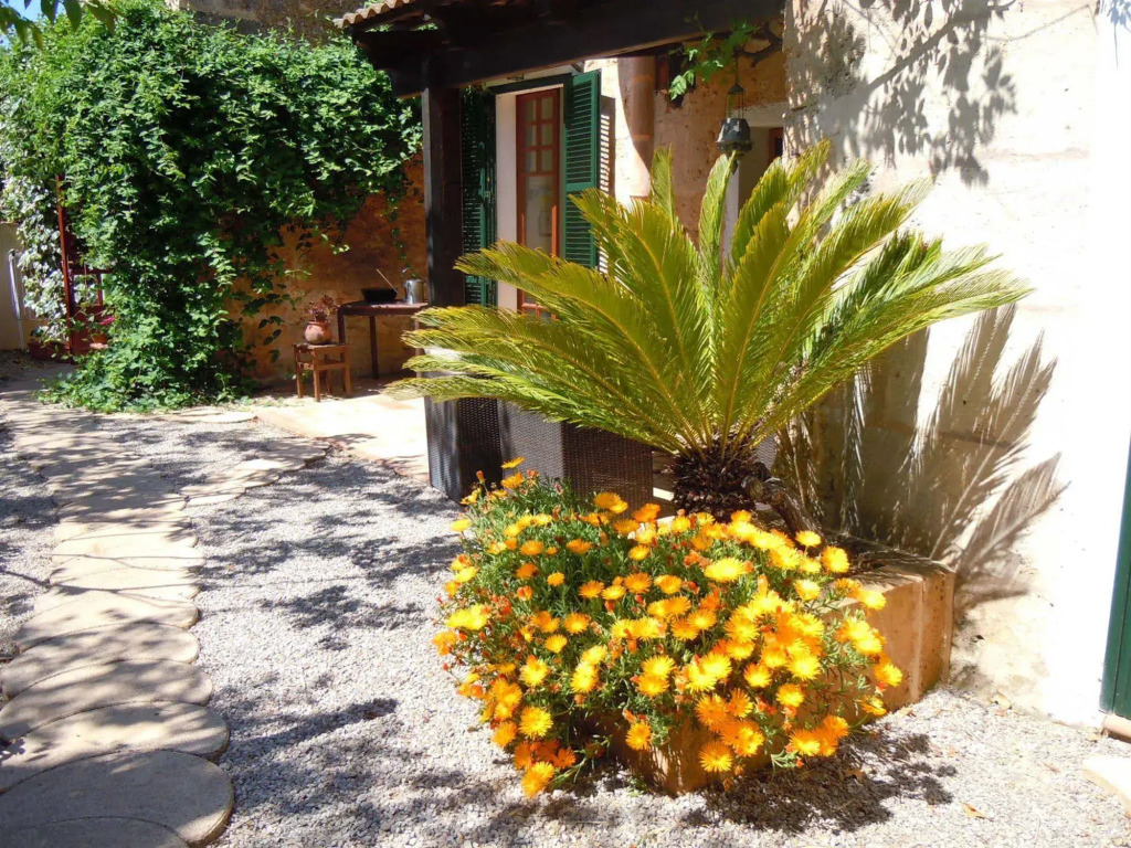 Finca Libertad Mallorca