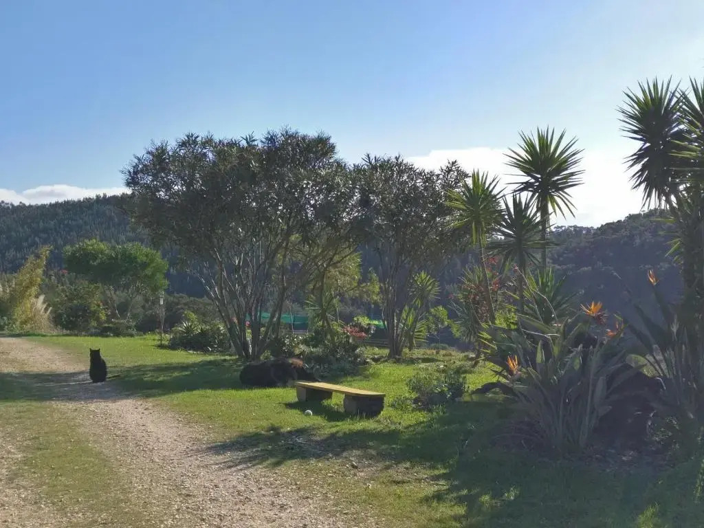 Quinta Reuffurth