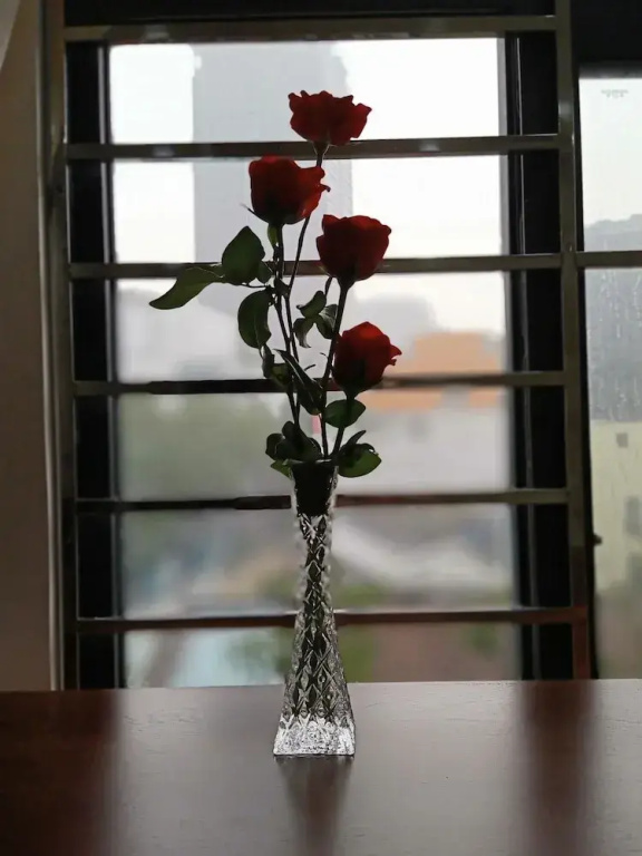 SAZI AMILA Nguyen Hue HOTEL