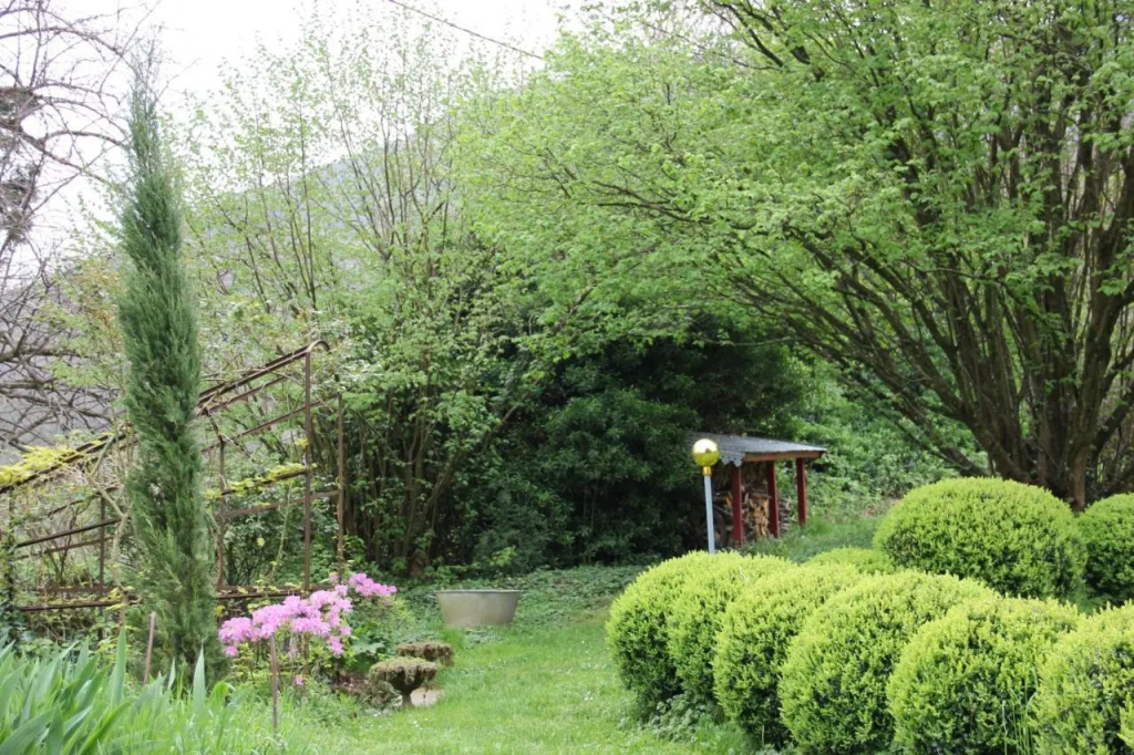 La Hulotte