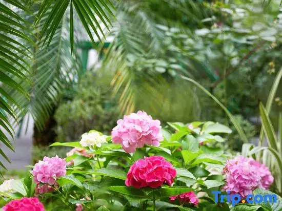Zigong Wireless Garden Homestay (Fantawild Dino Kingdom)