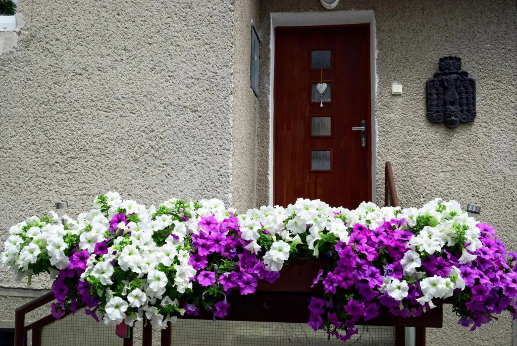 Apartman Martin