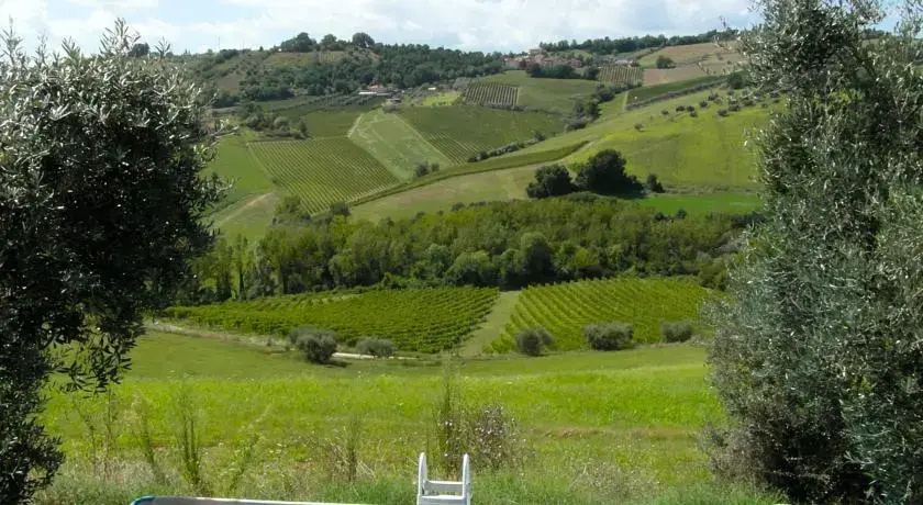 Il Giardino Erboso