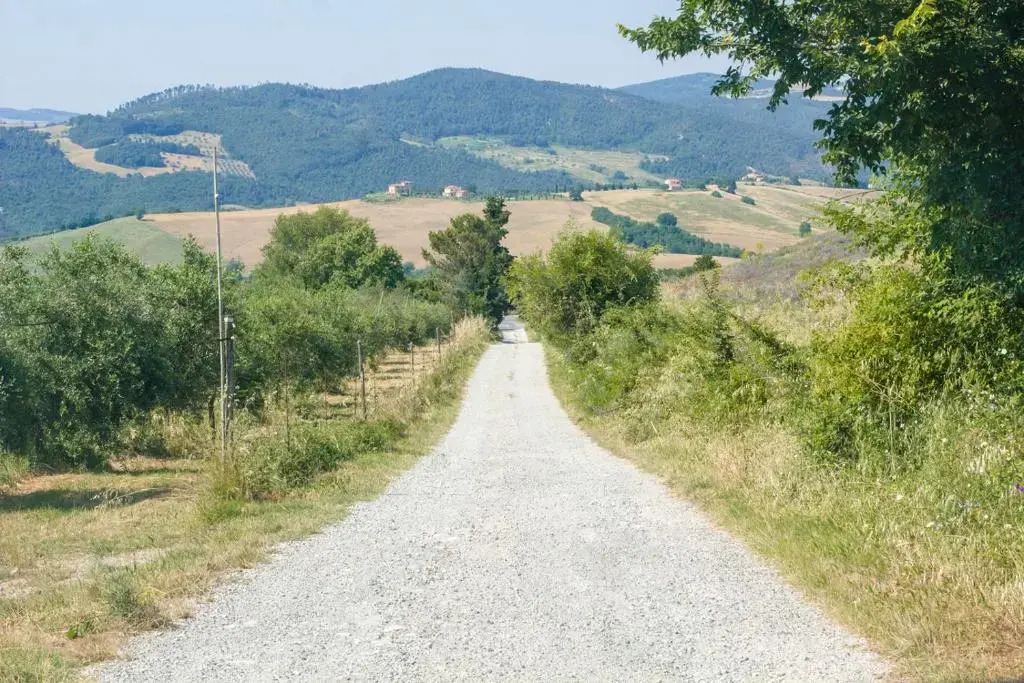 In Canto Sul Poggio