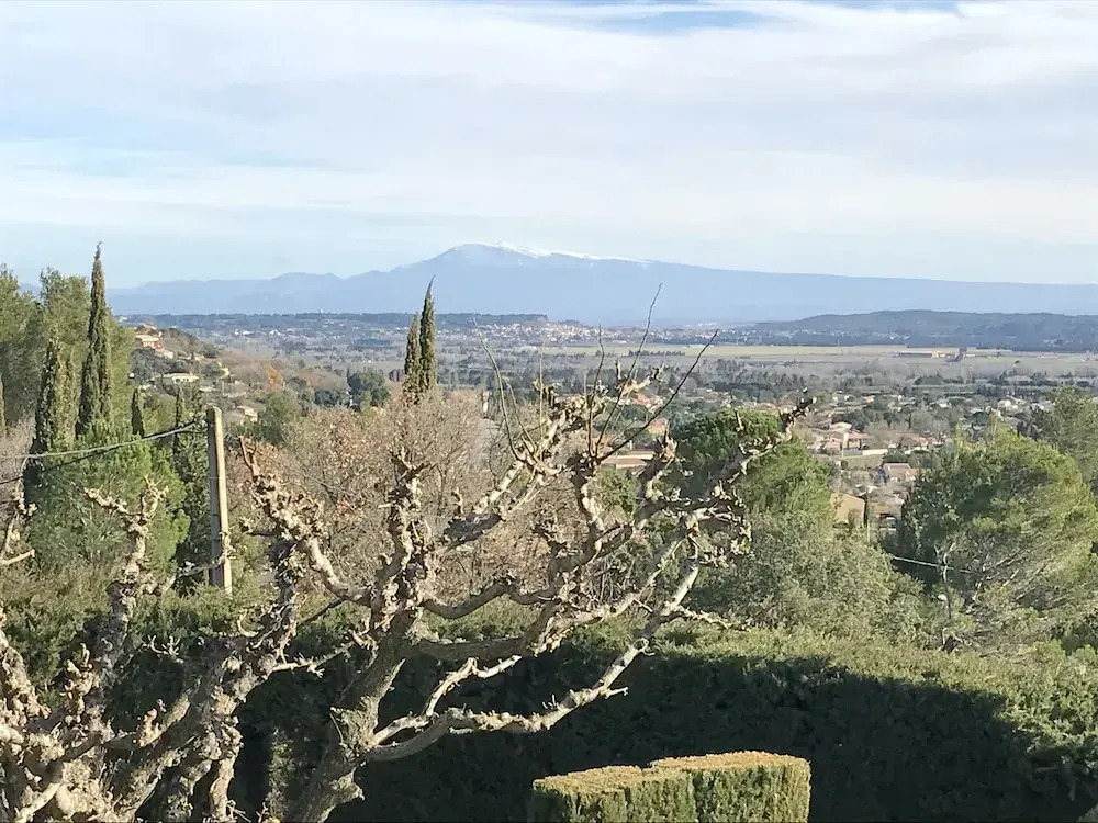 Le Clos Les Vignes