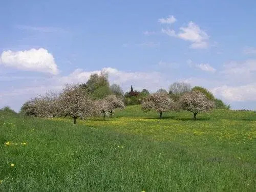 Humboldt-Haus