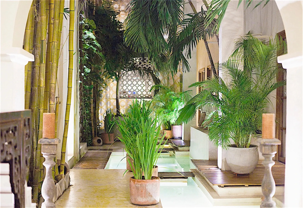 Hotel Casa Lola Deluxe Gallery