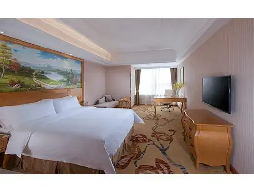 Vienna International Hotel (Guangzhou Development District)