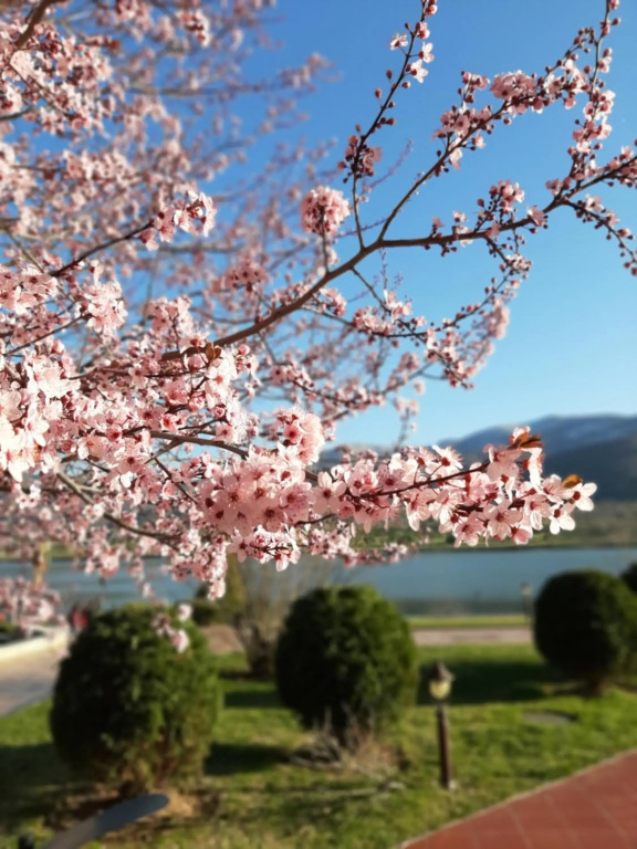 Studio -Apartament Pravets Spa Resort with beautiful lake view
