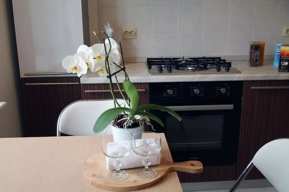 Apartment on Lenina 31