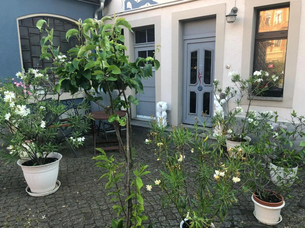 Kunstoase am blauen Haus