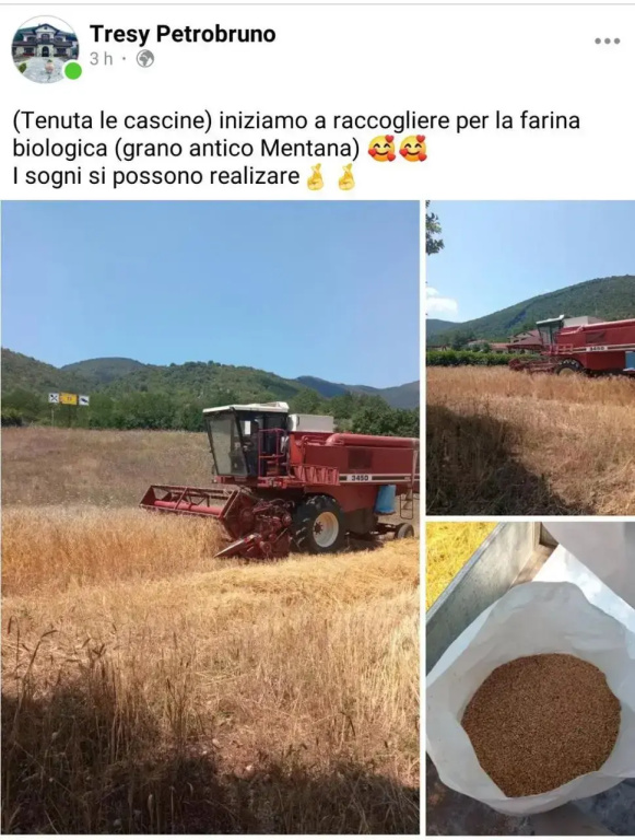 Tenuta le Cascine