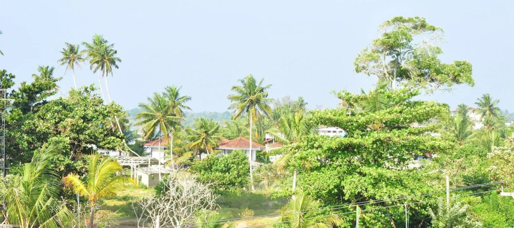 Brizo