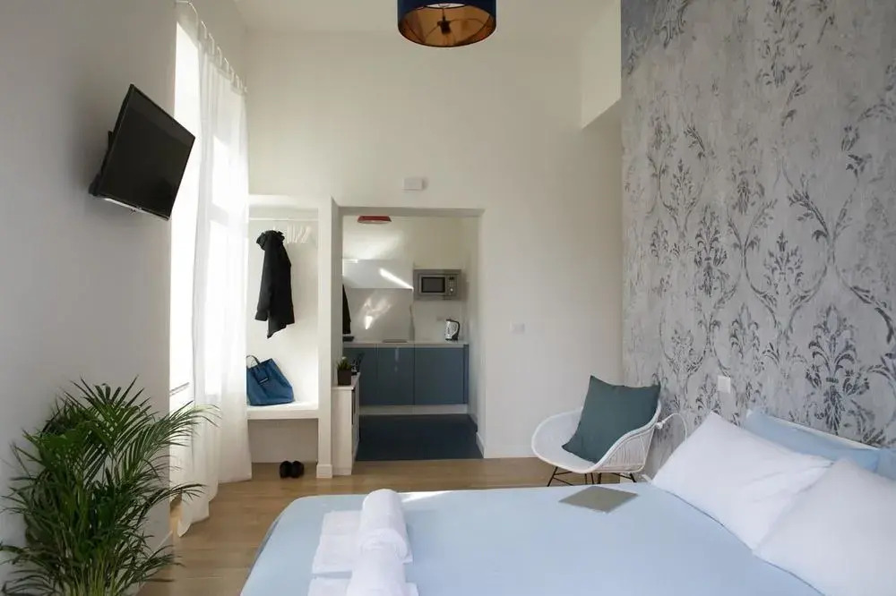 Rapanus Suites