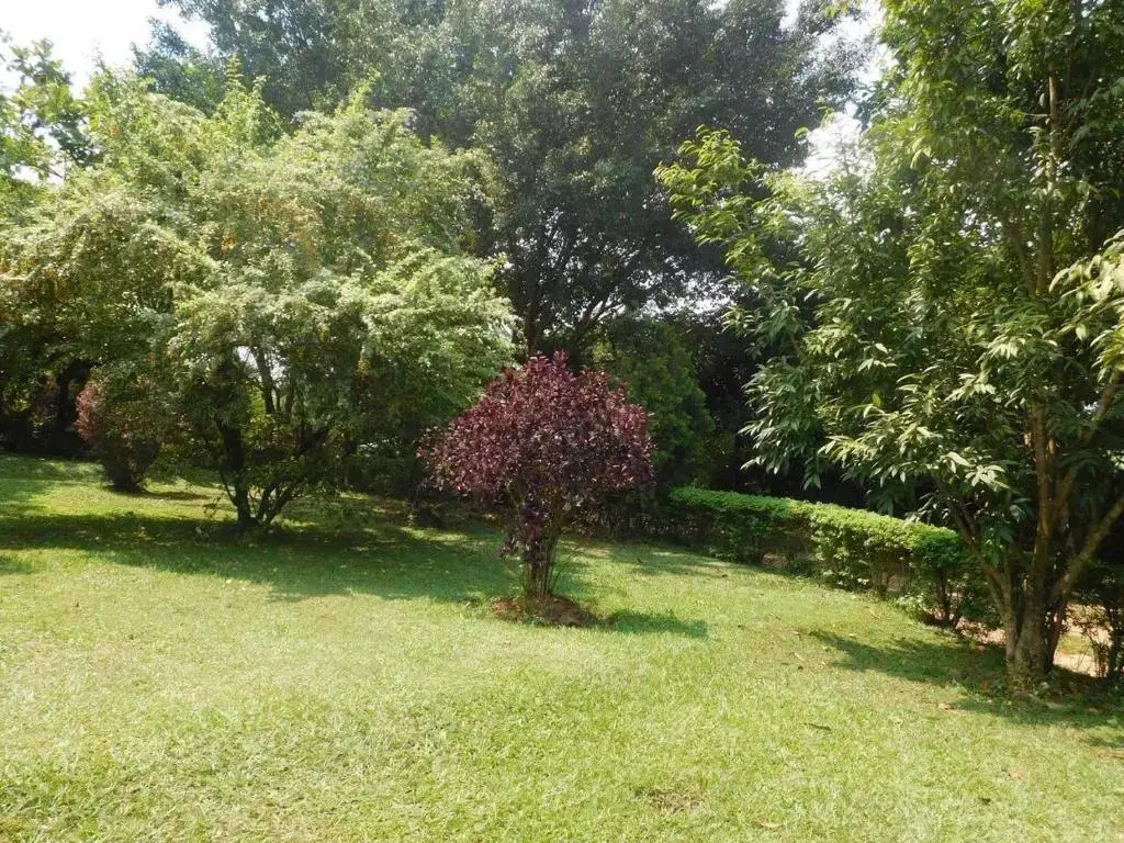 Immaculate 2-bedroom Cottage in Kampala