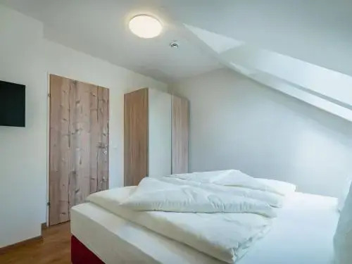 Hallstatt Dachstein Luxury 8 Gosau
