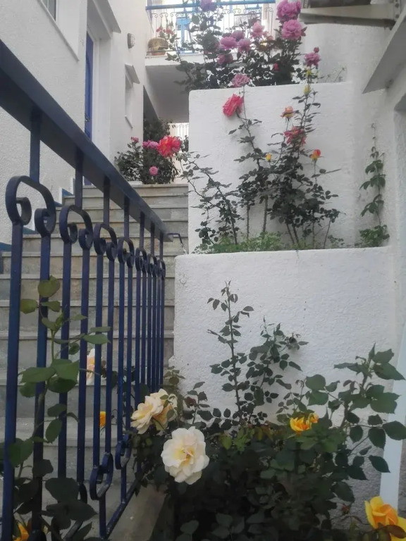 Rania Studios