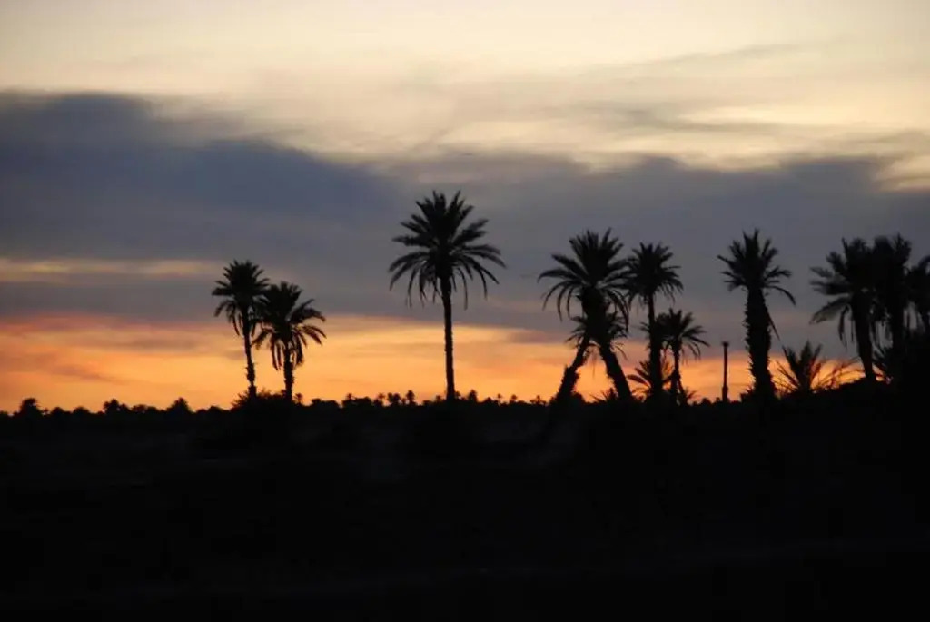 Kasbah Les Alizes Du Desert