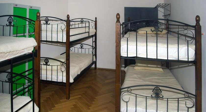 Koala hostel