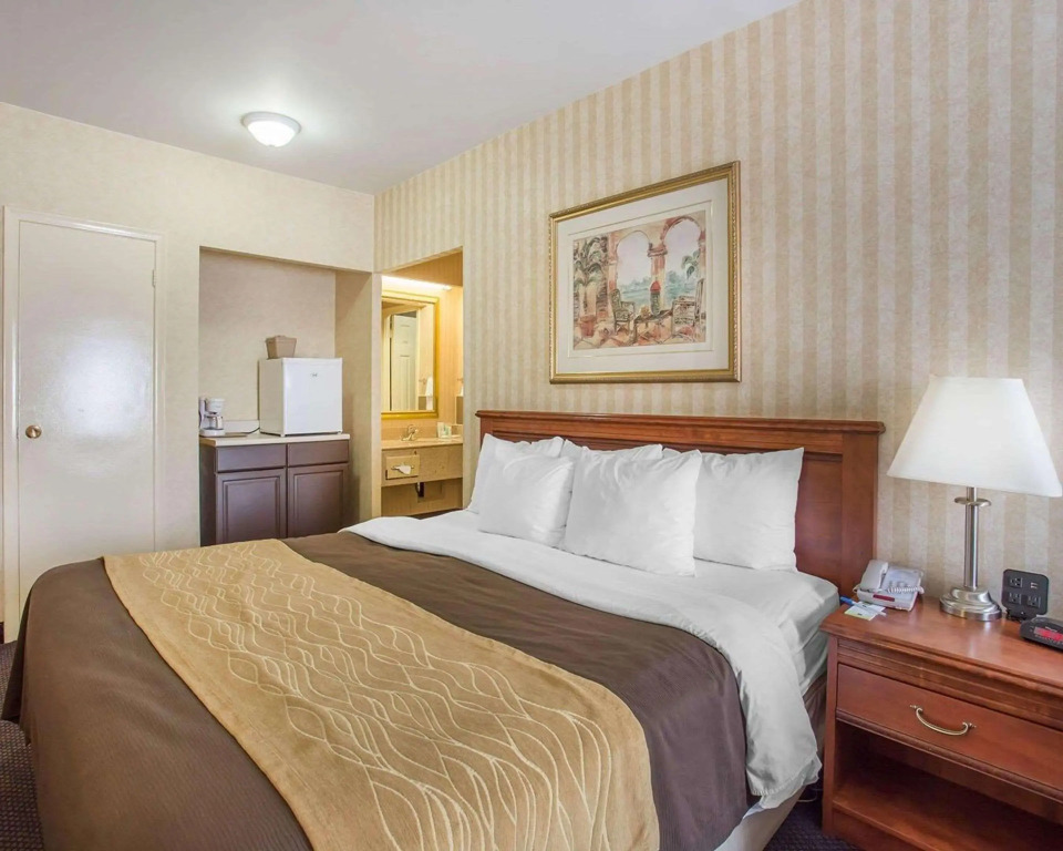 Quality Inn Toronto Airport
