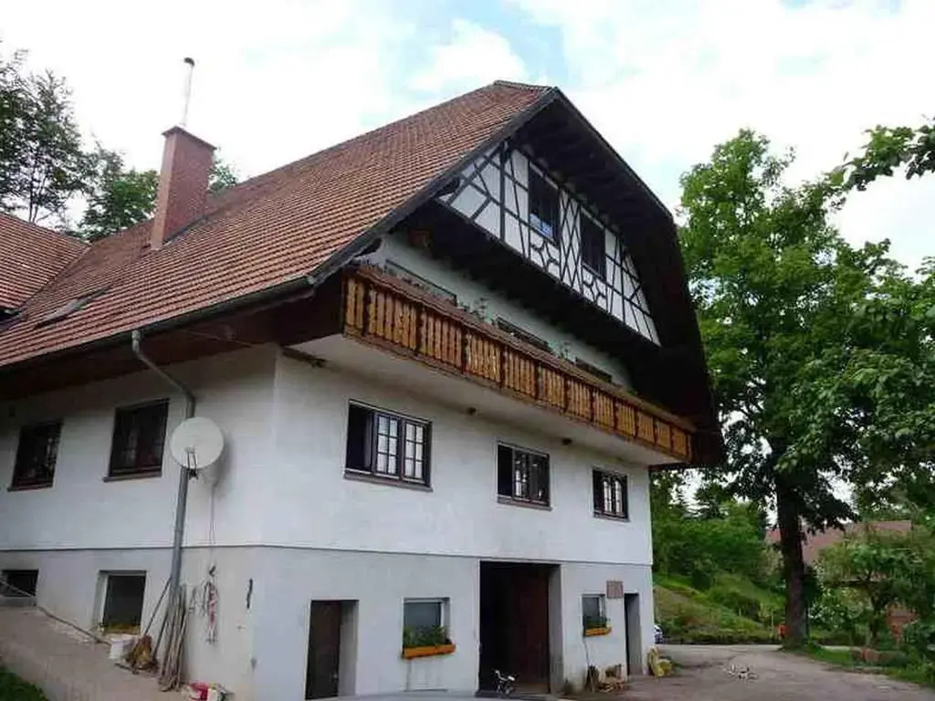 Grüner Ausblick