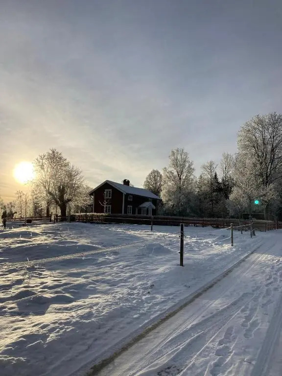 Stuga Linnebråten