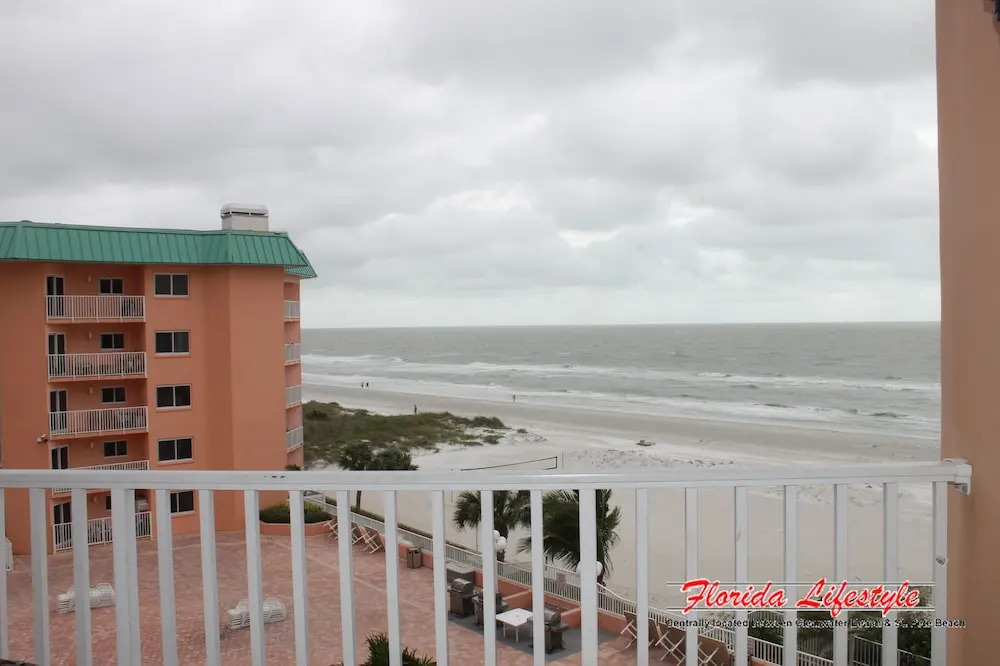 Beach Palms 404