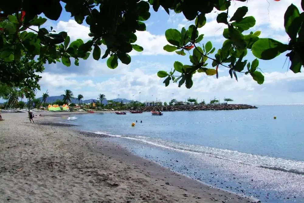 Apartment With 2 Bedrooms In Schoelcher With Wonderful Sea View Shared Pool Furnished Terrace