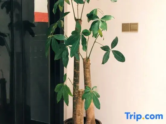 Zhoushan Peach Blossom Island Play Sand Sea View Homestay