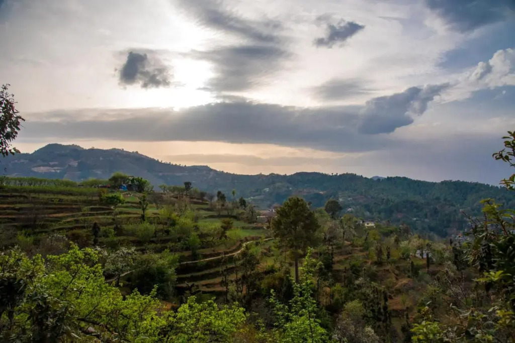 Evaan Resorts The Foliage