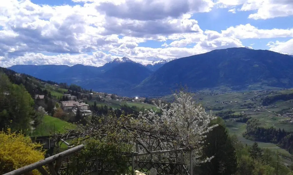 Gasserhof Garni & Apartment