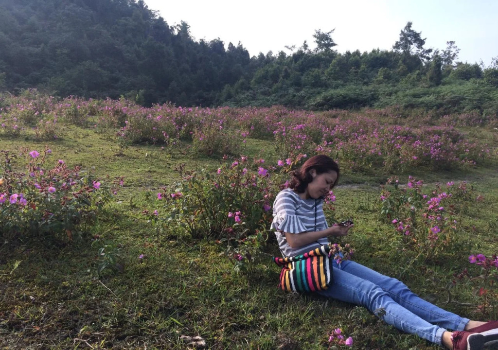 SaPa Peace Valley hotel