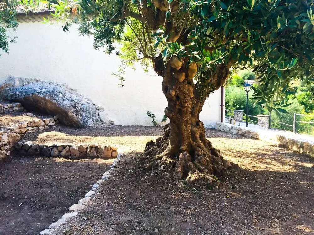 Le vie del Borgo