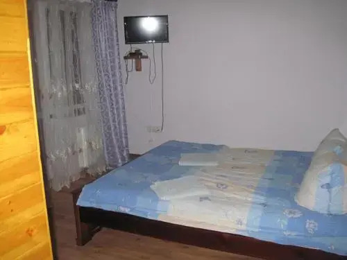 Guest House Stari Druzy